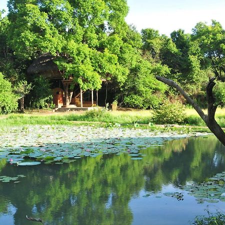 Back Of Beyond - Wild Haven Villa Sigiriya Exterior foto
