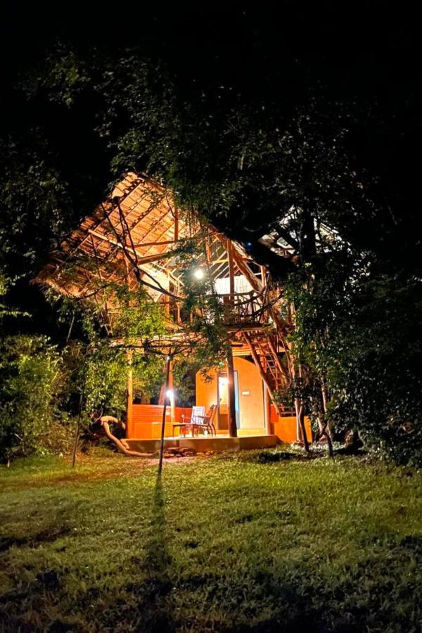 Back Of Beyond - Wild Haven Villa Sigiriya Exterior foto