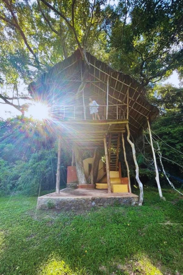 Back Of Beyond - Wild Haven Villa Sigiriya Exterior foto