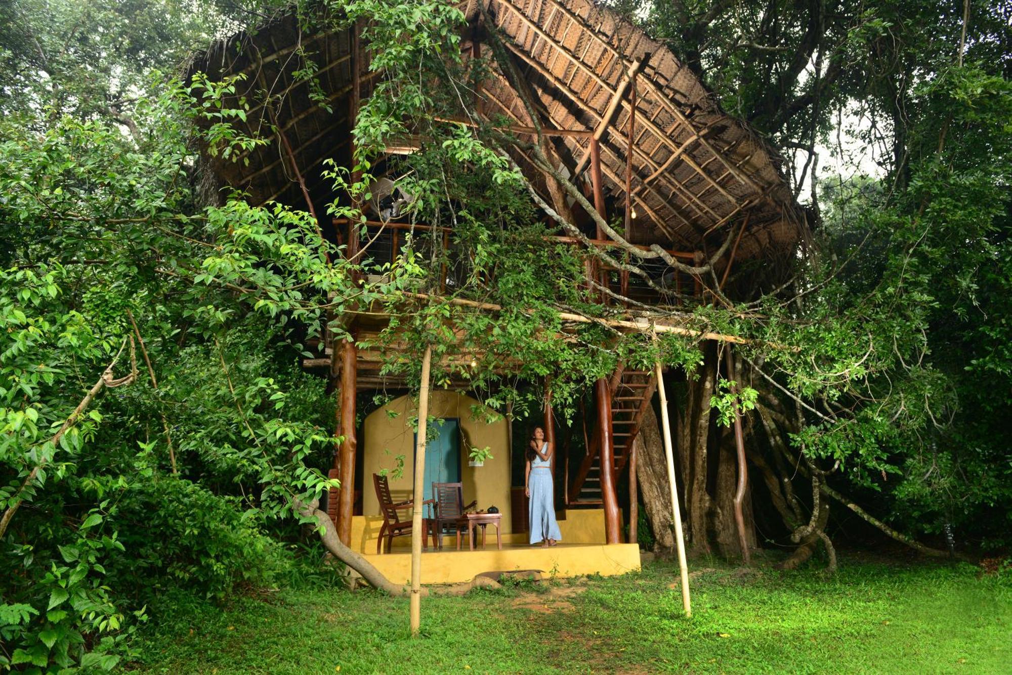 Back Of Beyond - Wild Haven Villa Sigiriya Exterior foto