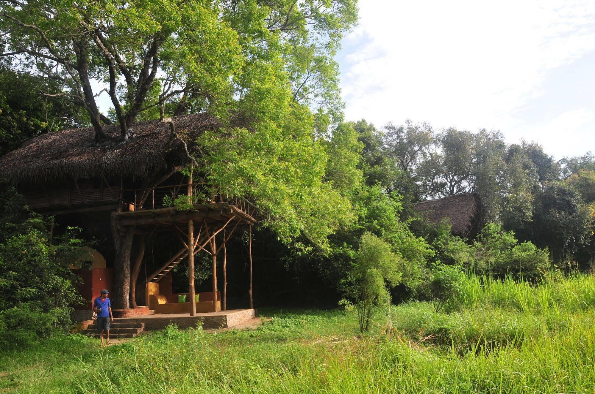 Back Of Beyond - Wild Haven Villa Sigiriya Exterior foto