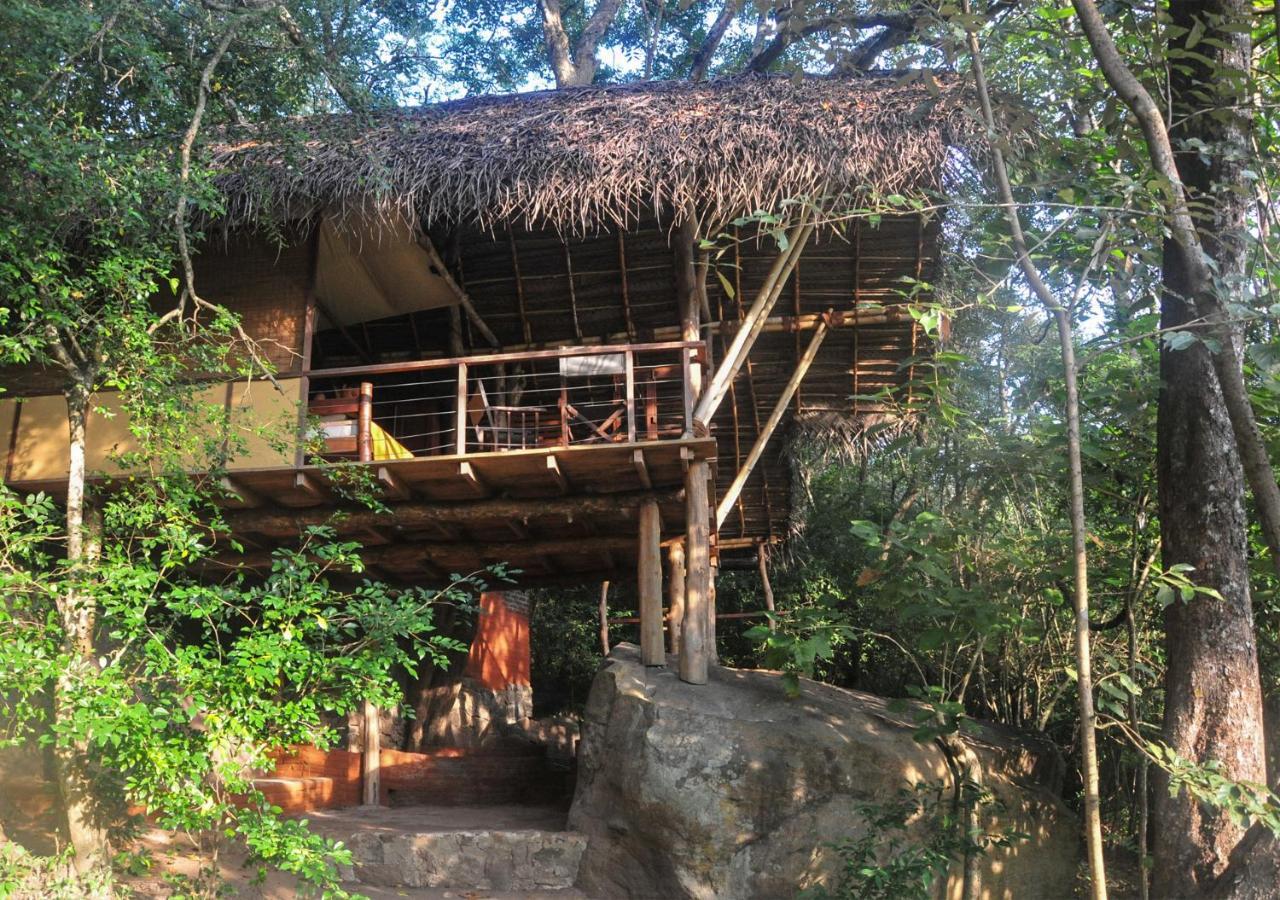 Back Of Beyond - Wild Haven Villa Sigiriya Exterior foto