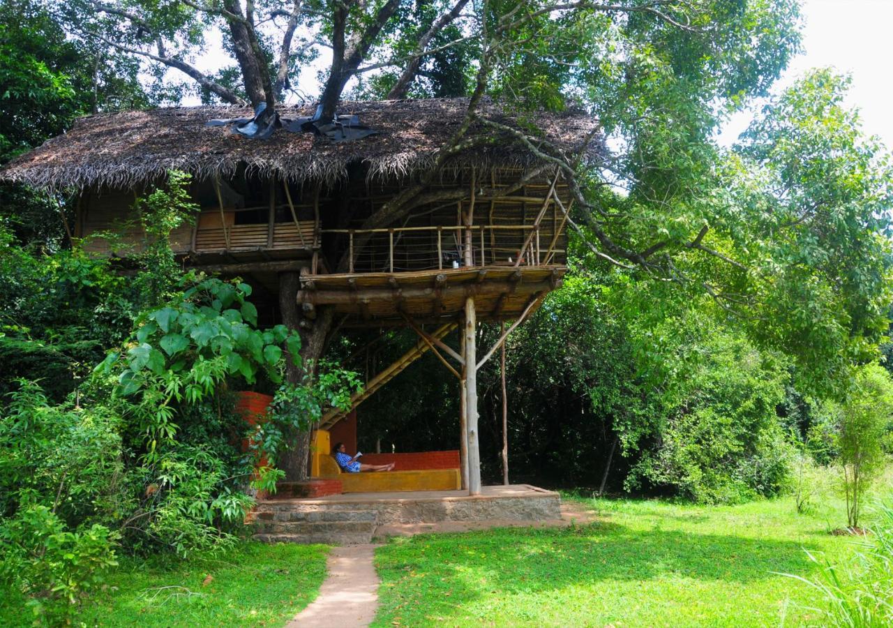 Back Of Beyond - Wild Haven Villa Sigiriya Exterior foto