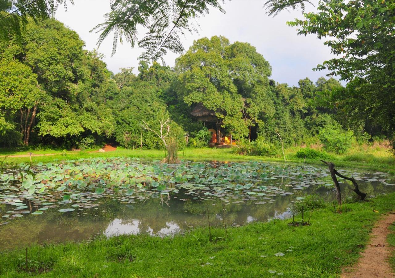 Back Of Beyond - Wild Haven Villa Sigiriya Exterior foto