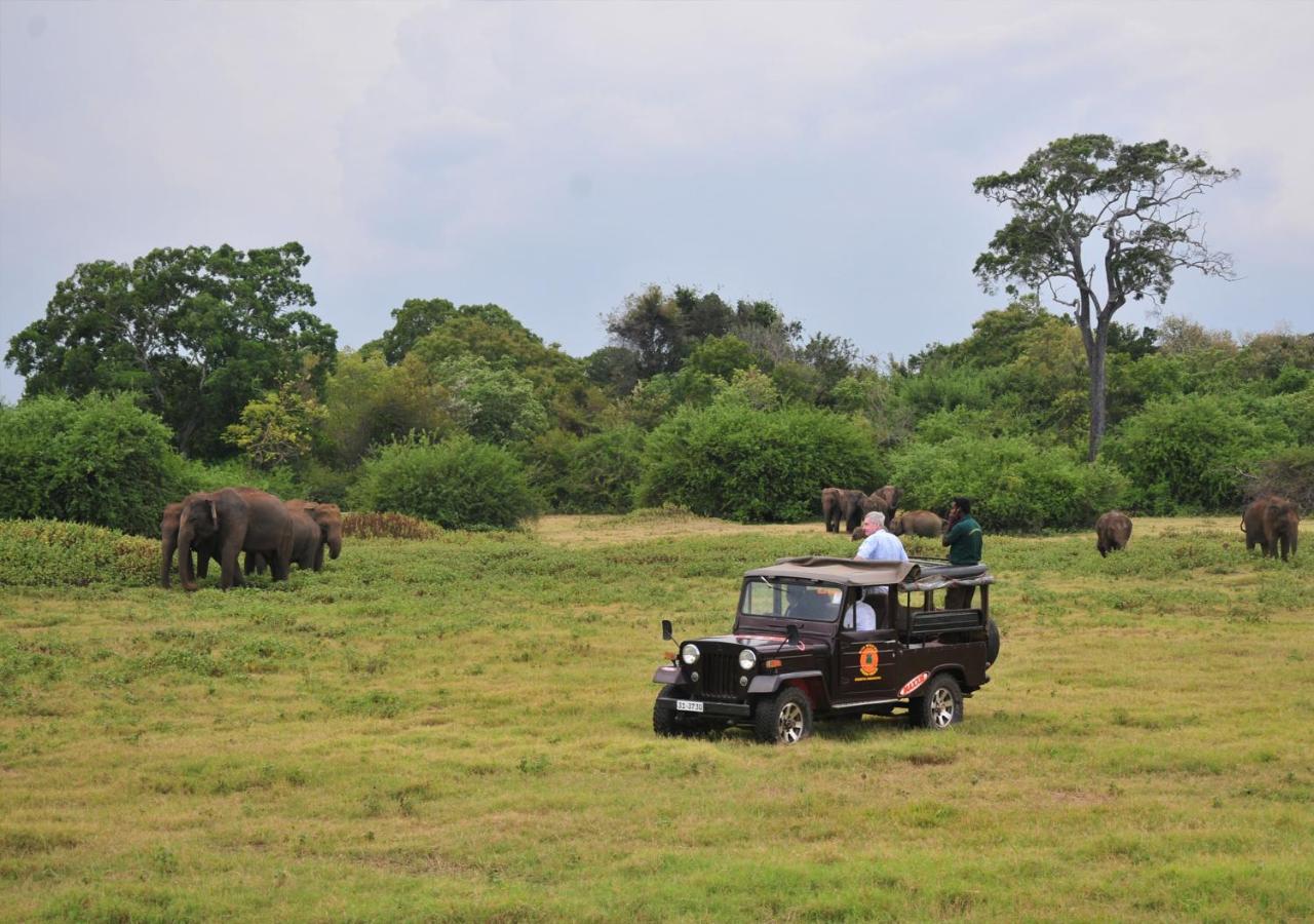 Back Of Beyond - Wild Haven Villa Sigiriya Exterior foto