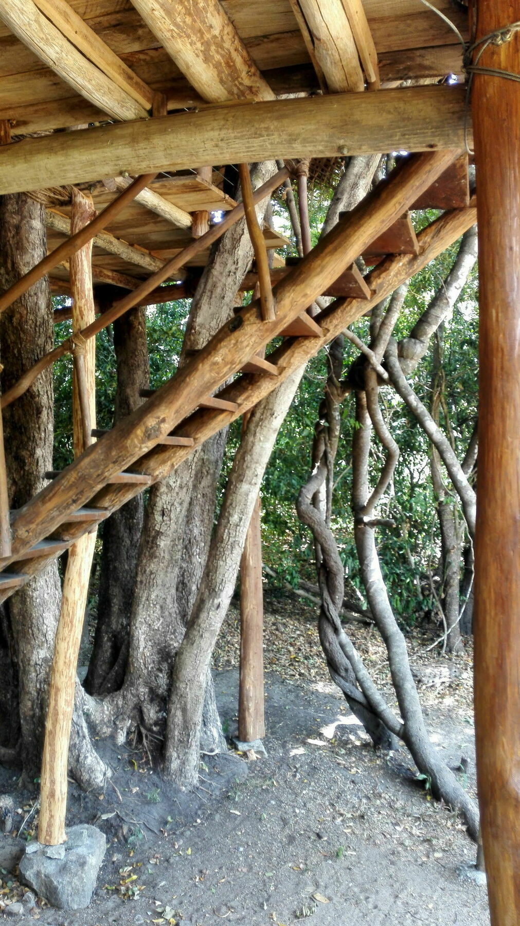 Back Of Beyond - Wild Haven Villa Sigiriya Exterior foto