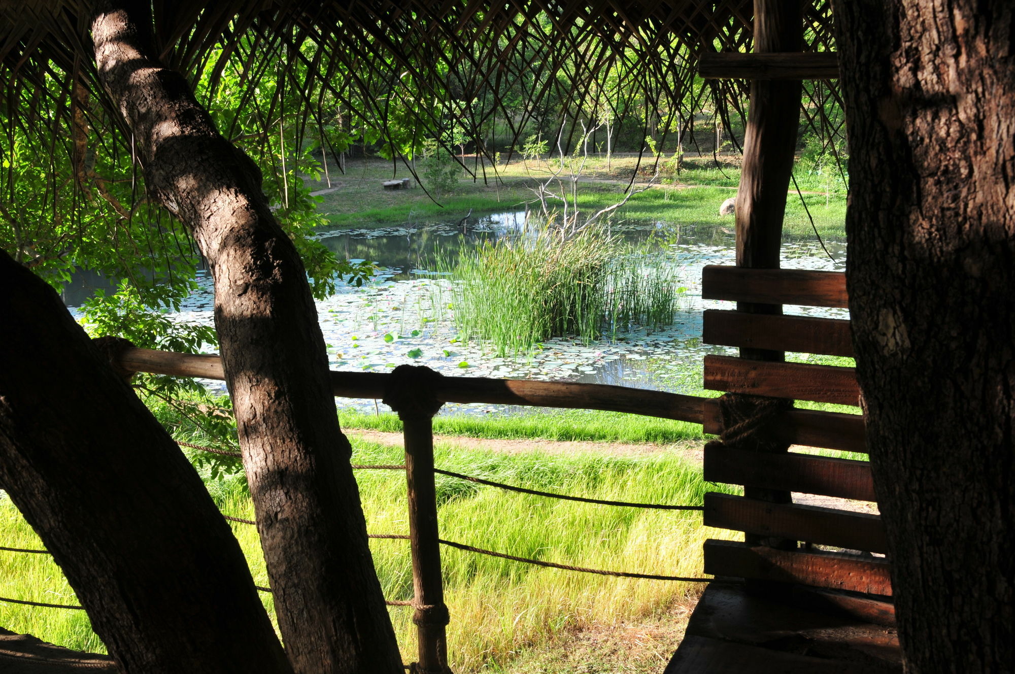 Back Of Beyond - Wild Haven Villa Sigiriya Exterior foto